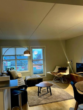 Luxurious apartment in the heart of Bergen